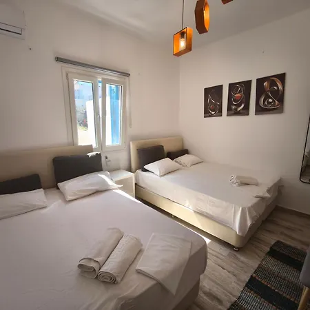 Guest house Vasilis Ornos 3*