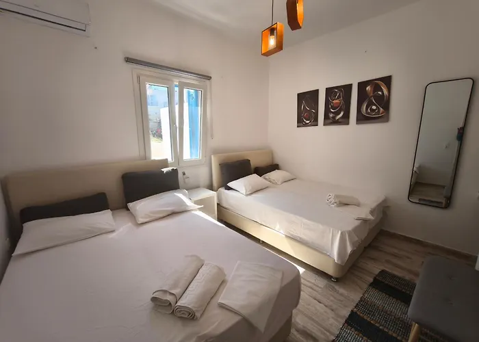 Guest house Vasilis Ornos 3*